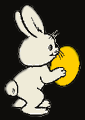 bunny