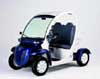 ELEC CAR