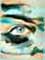 crayon-eye