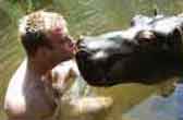 hippo
