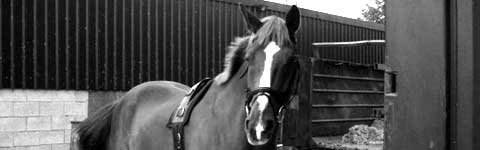 JACK