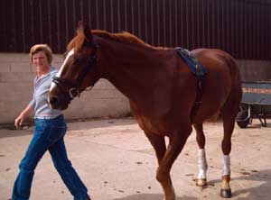 sharon and jack