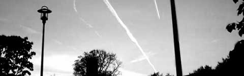 PLAIN STREAK